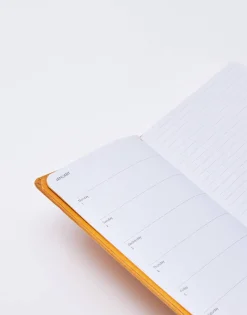 Agenda Anual Tela 2024