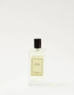 Ambientador Spray Cereria Mollá