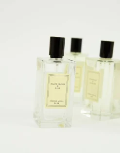 Ambientador Spray Cereria Mollá