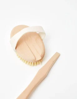 Cepillo Con Mango Cuerpo Y Espalda