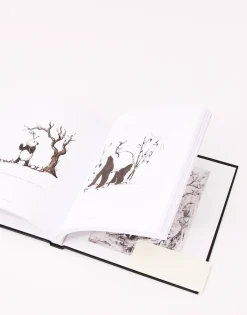 Gran Panda Y Pequeño Dragón