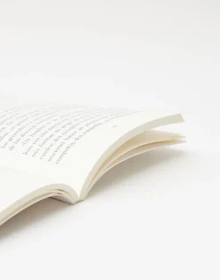 Hacia Rutas Salvajes