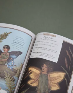 Historia Natural De Las Hadas