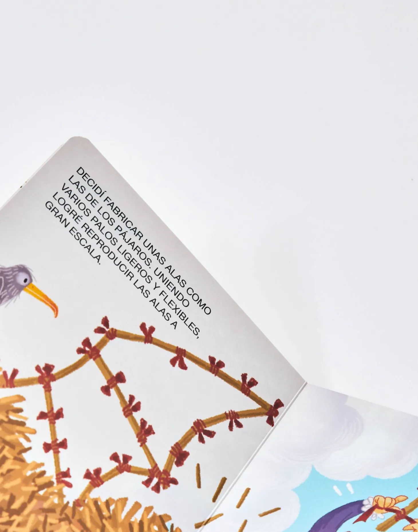 Mini Genios: Leonardo Da Vinci