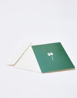 Postal Papel Con Sobre