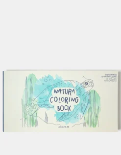 Set Libro Para Acuarela Y Acuarelas