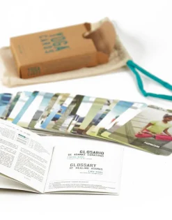 Yoga Cards